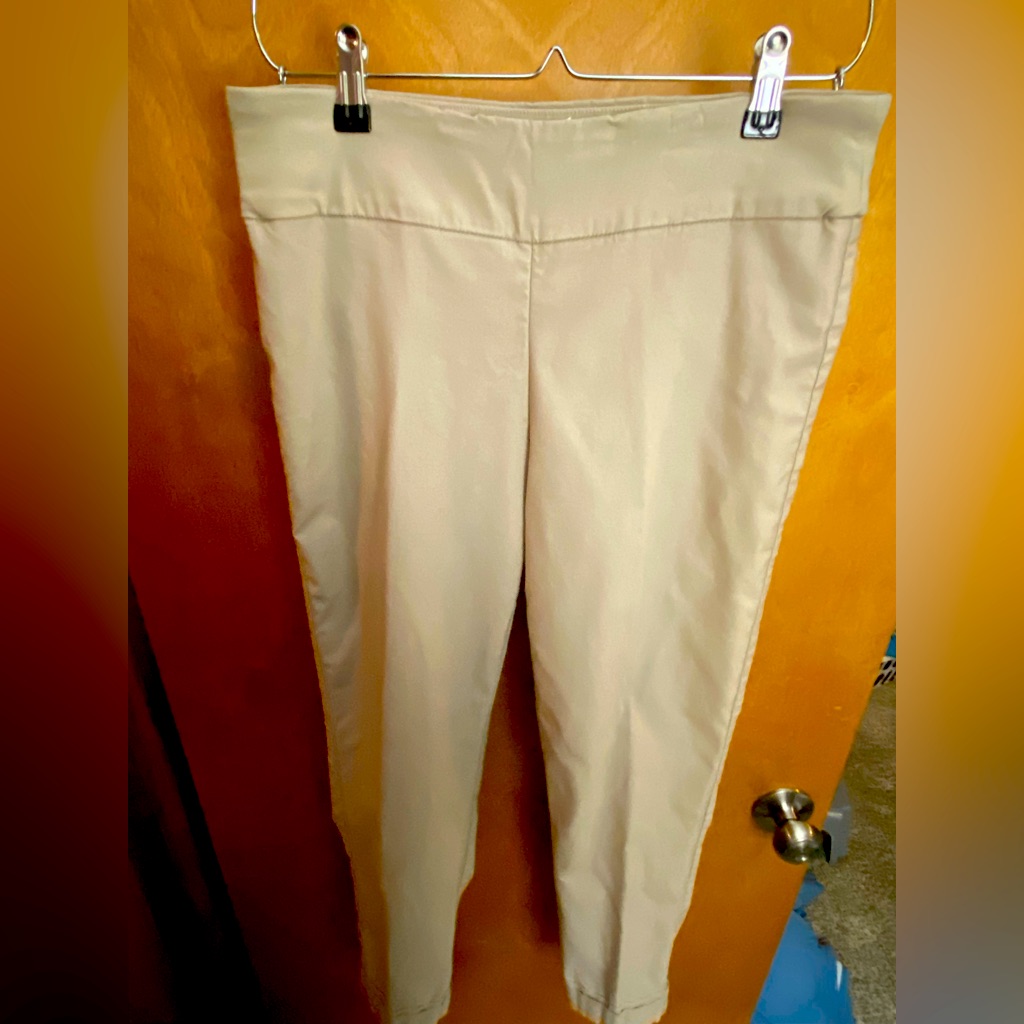 Tribal Brand 76 Rayon Dress Pants